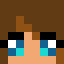 pvde Minecraft skin